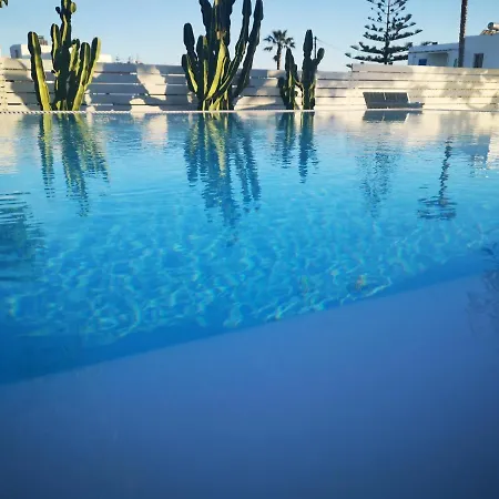 ラ ステラ ステイ