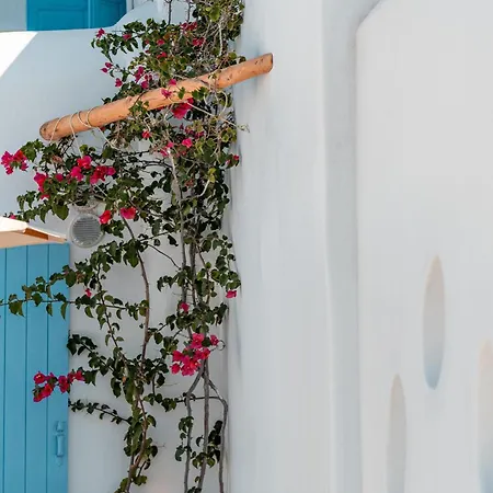 ラ ステラ ステイ