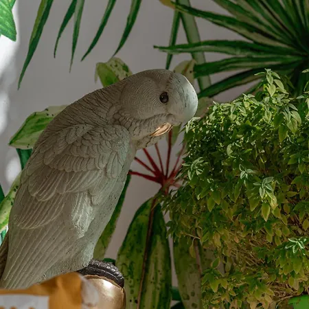 ラ ステラ ステイ グラストロス