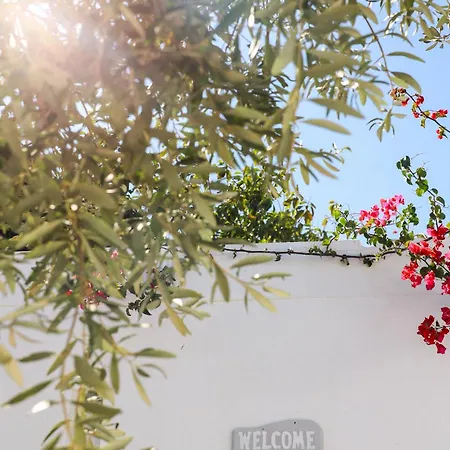 ラ ステラ ステイ ホテル