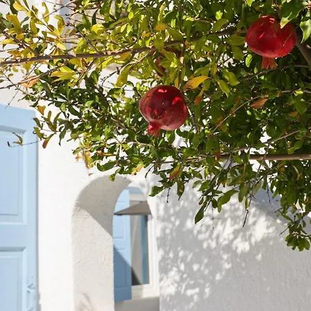 ラ ステラ ステイ ホテル 3*