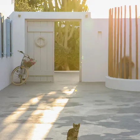 ホテル ラ ステラ ステイ 3*