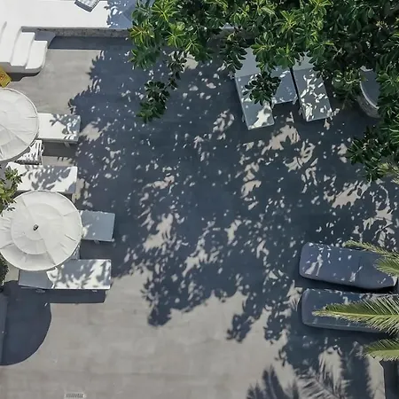 ラ ステラ ステイ