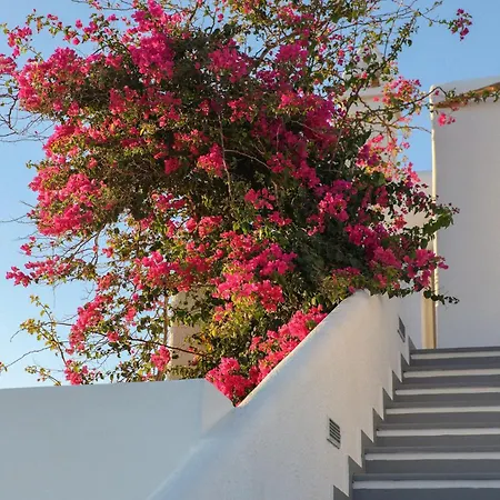 Hotel La Stella