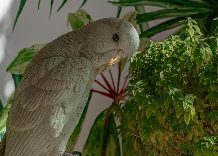 La Stella Гластрос